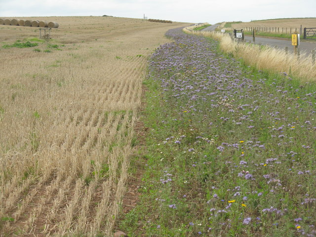 Back to the Future:  role of deacons in post-Christendom